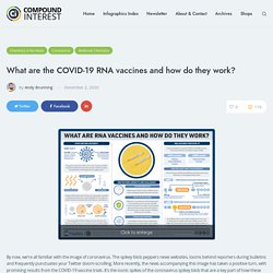 What are the COVID-19 RNA vaccines and how do they work? – Compound Interest