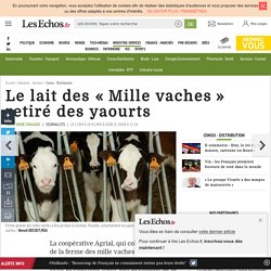 Le lait des « Mille vaches » retiré des yaourts, Conso - Distribution