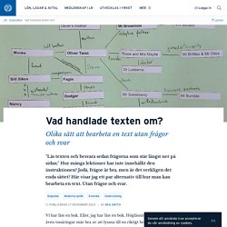 Vad handlade texten om?