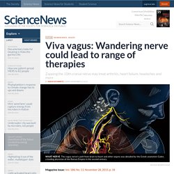 Viva vagus: Wandering nerve could lead to range of therapies