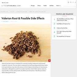 Valerian Root & Possible Side Effects