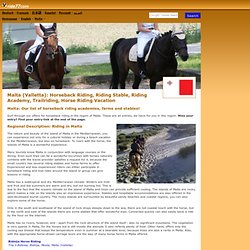 Malta (Valletta): Horseback Riding, Riding Stable, Riding Academy, Horseback Riding Clinic, Horse Riding Vacation