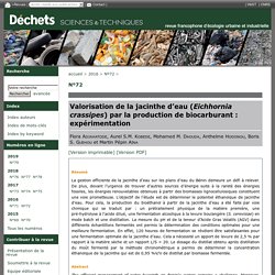 DECHETS SCIENCES & TECHNIQUES - 2016 - Valorisation de la jacinthe d’eau (Eichhornia crassipes) par la production de biocarburant : expérimentation