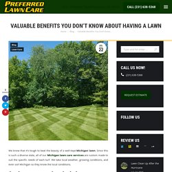 Valuable Benefits You Don't Know About Having A Lawn