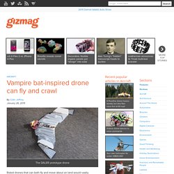 Vampire bat-inspired drone can fly and crawl