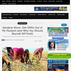 Vandana Shiva: Get the GMO Out of My Mustard (and Why You Should Boycott GM Food)