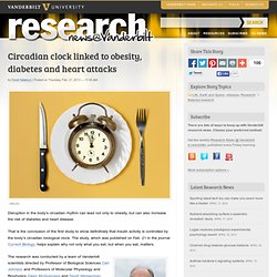 Circadian clock linked to obesity, diabetes and heart attacks