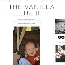 The Vanilla Tulip: The Park, A Vulture and Cinnamon Bread