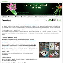 Vanuaflora - Pl@ntnet