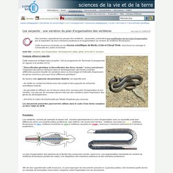 sciences de la vie et de la terre - Les serpents : une variation du plan d'organisation des vertébrés