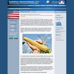 BE Etats-Unis 397 >> 13/03/2015 Maïs OGM : une amorce de retour aux variétés conventionnelles aux USA ?