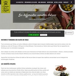 Les variétés d'olives et les couleurs d'olives - Olives d'Espagne