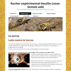 Rucher expérimental Houille-Lesse-Semois asbl - 2018 - Lutte contre le varroa