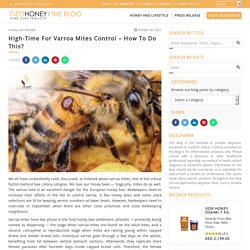 High-Time For Varroa Mites Control – How To Do This?