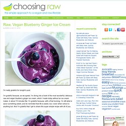 Raw, Vegan Blueberry Ginger Ice Cream