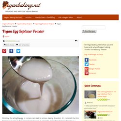 Vegan Egg Replacer Powder