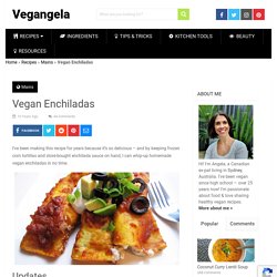 Vegan Enchiladas (Super Fast & Easy)
