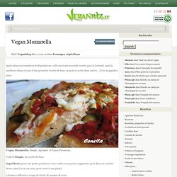 Vegan Mozzarella