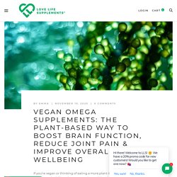 Vegan Omega Supplements: The Plant-Based Way To Boost Brain Function, – Love Life Supplements