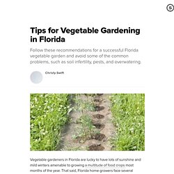 Tips for Vegetable Gardening in Florida: Florida Best Practices for Growing Crops