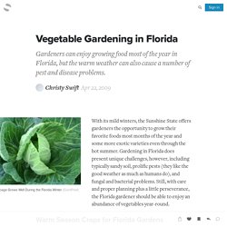 Vegetable Gardening in Florida: Grow Vegetables Year Round in South, Central and North Florida