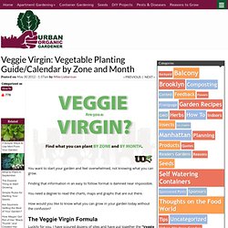 Veggie Virgin Formula: 4-Steps to Know What to Plant in Your Garden Today