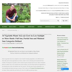 34 Vegetable Plants You can Grow in Less Sunlight or More Shade: Full – The Rusted Garden