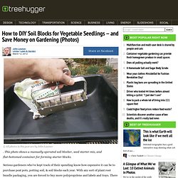 How to DIY Soil Blocks for Vegetable Seedlings