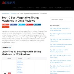 Top 10 Best Vegetable Slicing Machines in 2018 Reviews (June. 2018)