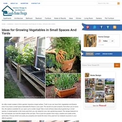 Ideas for Growing Vegetables in Small Spaces And Yards