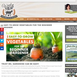 5 Easy-to-Grow Vegetables for the Beginner Gardener
