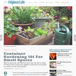 Ask Organic Gardening: Vegetables in Pots: Organic Gardening