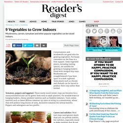 9 Vegetables to Grow Indoors