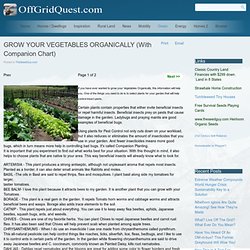 GROW YOUR VEGETABLES ORGANICALLY (With Companion Chart)