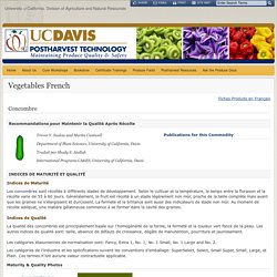 UNIVERSITY UC DAVIS - Concombre: Recommandations pour Maintenir la Qualité Après Récolte