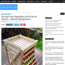Storing Fresh Vegetables and Fruits for Months – Without Refrigeration