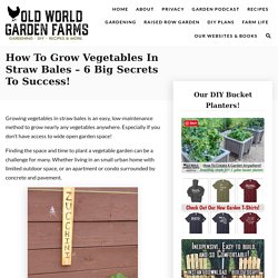 How To Grow Vegetables In Straw Bales - 6 Big Secrets To Success!