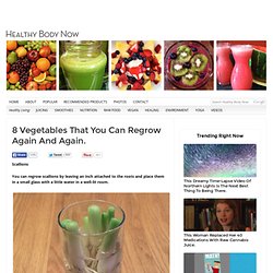 8 Vegetables That You Can Regrow Again And Again.