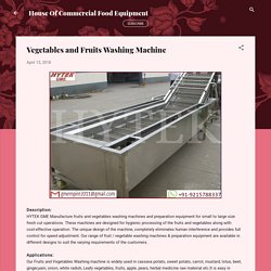 Vegetables and Fruits Washing Machine