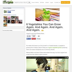 6 Vegetables You Can Grow Again. And Again. And Again. And Again.