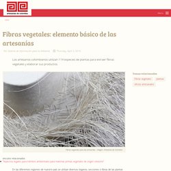 Fibras vegetales: elemento básico de las artesanías - Artesanías de Colombia