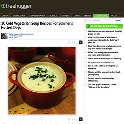 10 Cold Vegetarian Soup Recipes For Summer's Hottest Days