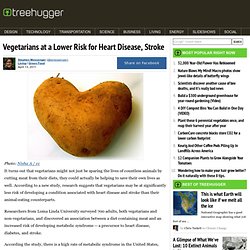 Vegetarians at a Lower Risk for Heart Disease, Stroke