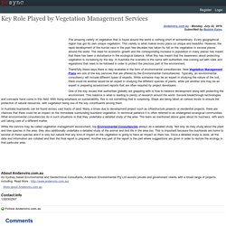 Key Role Played by Vegetation Management Services