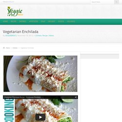 Vegetarian Enchilada