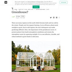 Why Grown In A Veksthus Or Greenhouse?