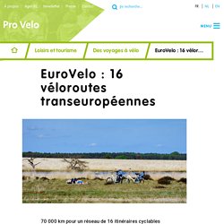 EuroVelo : 16 véloroutes transeuropéennes