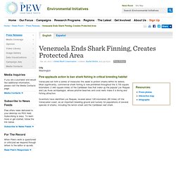 Venezuela Ends Shark Finning, Creates Protected Area