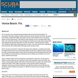 Scuba Diving Magazine