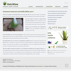 Vente de feuilles fraîches d'Aloe vera